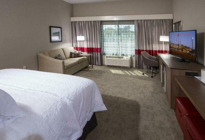 Номер Стандарт Кровать Кинг Адаптированный для Инвалидов, Hampton Inn & Suites Buellton/santa Ynez Valley