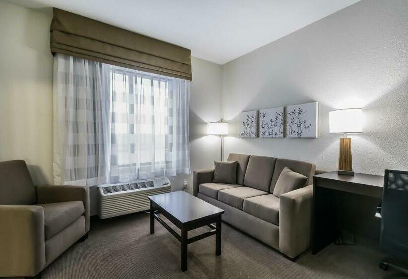 스위트 킹사이즈 침대, Sleep Inn & Suites Columbia