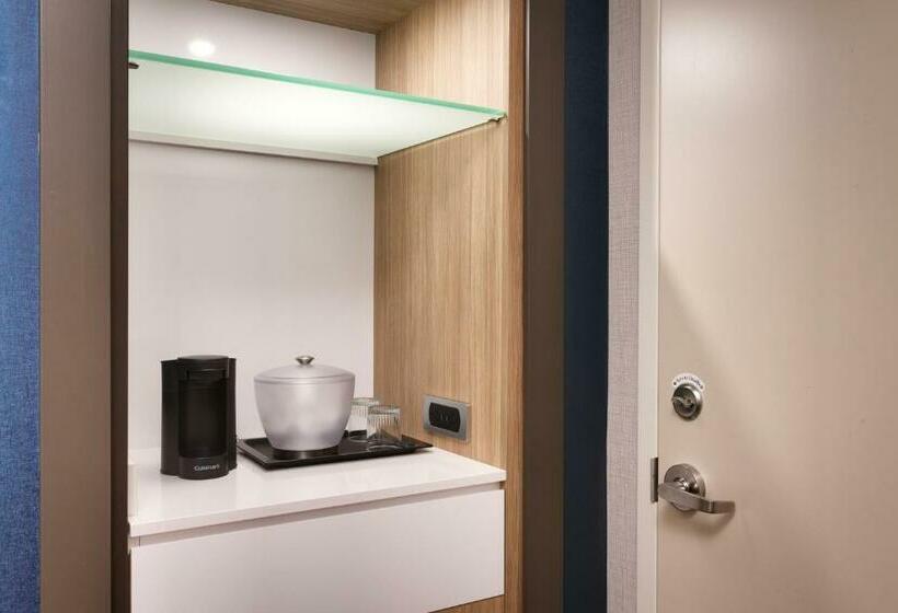 带大床的套房, Springhill Suites By Marriott Idaho Falls