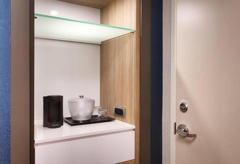 带大床的套房, Springhill Suites By Marriott Idaho Falls