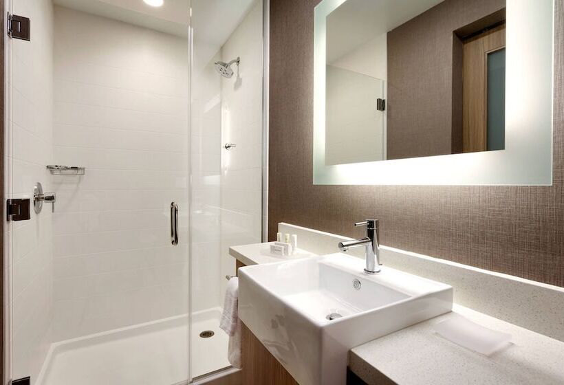 套房, Springhill Suites By Marriott Idaho Falls
