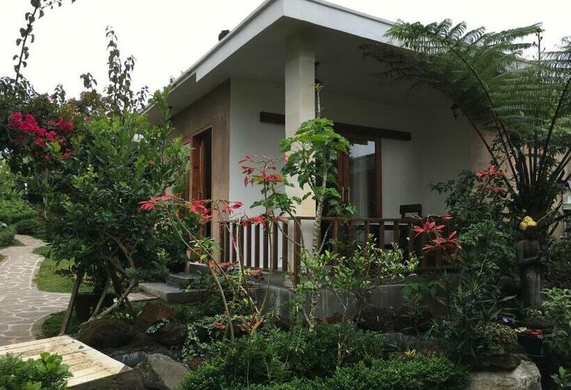 Номер Deluxe, Terrasse Du Lac Munduk