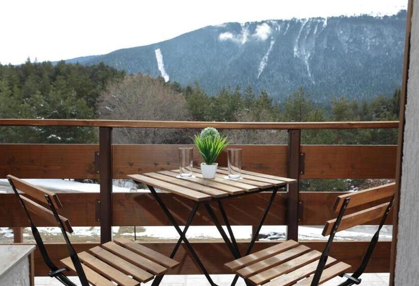 غرفة قياسية, Panorama