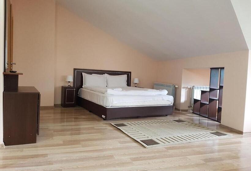 إستوديو قياسى ذو إطلالة, Panorama