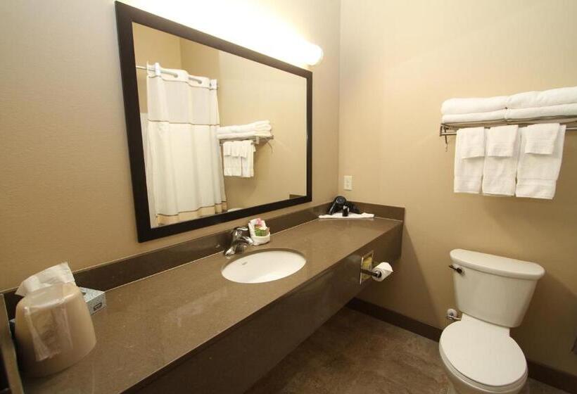 חדר סטנדרט מותאם לאדם עם מוגבלויות, Bowman Lodge & Convention Center