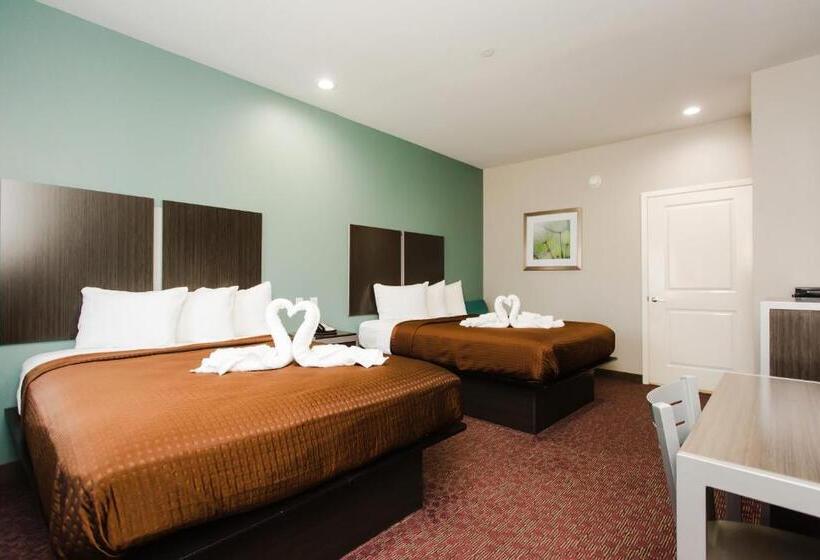 标准间, Express Inn  Spring