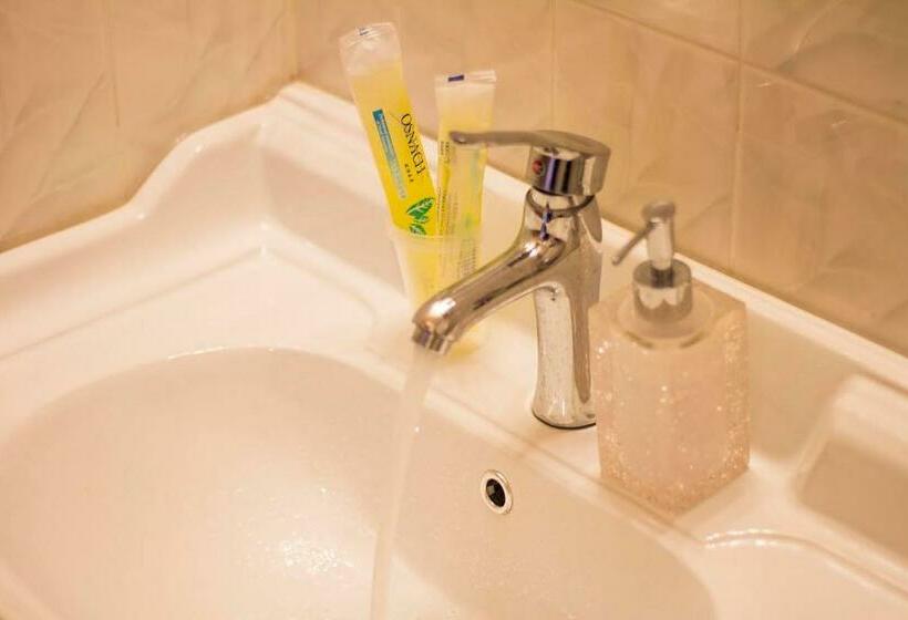 Номер Стандарт, Phoenix Hotel Brooklyn Sunset Park