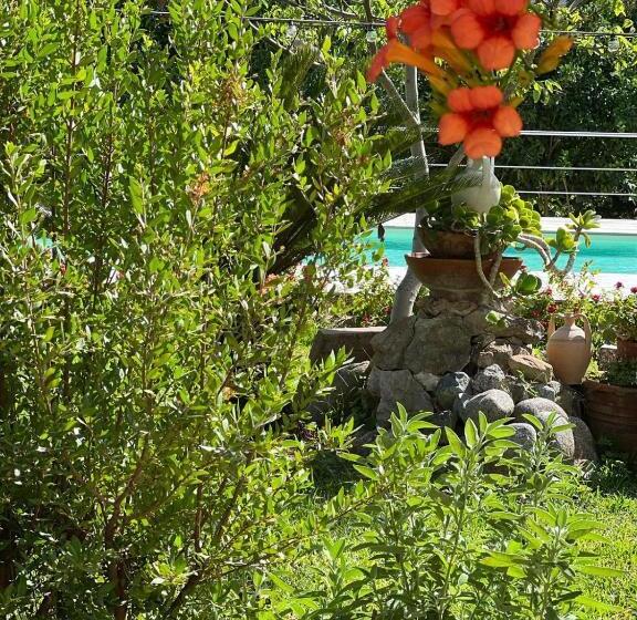 Семейный Номер, Vida Locrese Con Piscina Salata