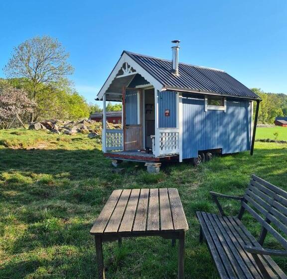 Номер Стандарт Совместная Ванная, The Thistle Inn   Eko Farmstay