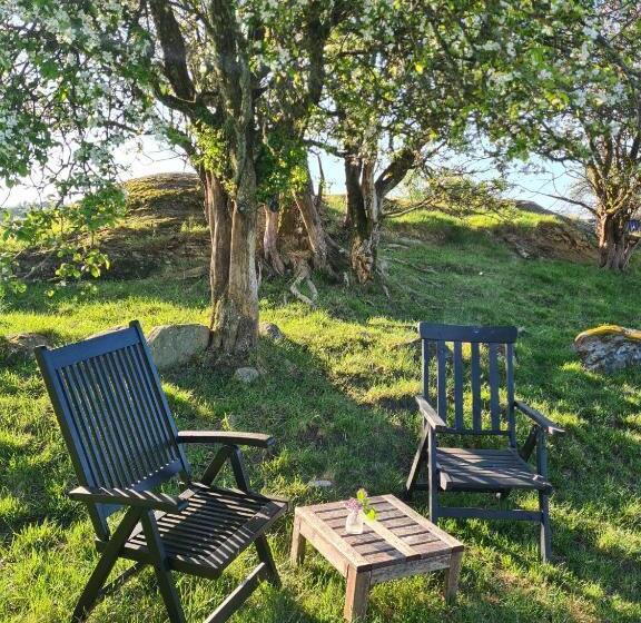 Номер Стандарт Совместная Ванная, The Thistle Inn   Eko Farmstay