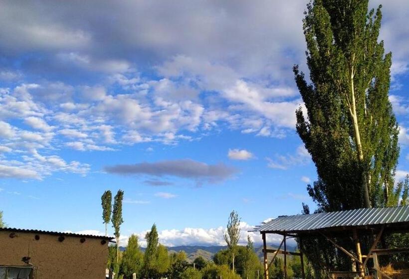 اتاق اکونومی, Benni Guest House