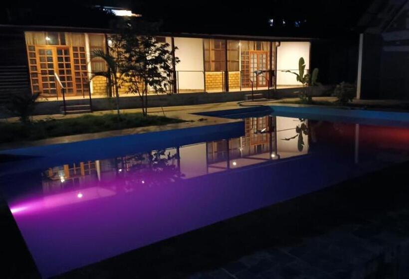 חדר סטנדרט, Tiktoker Lodge