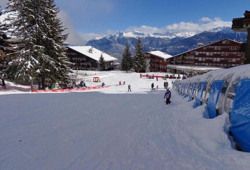 Шале 1 Спальня, Holidays Groupes Anzère