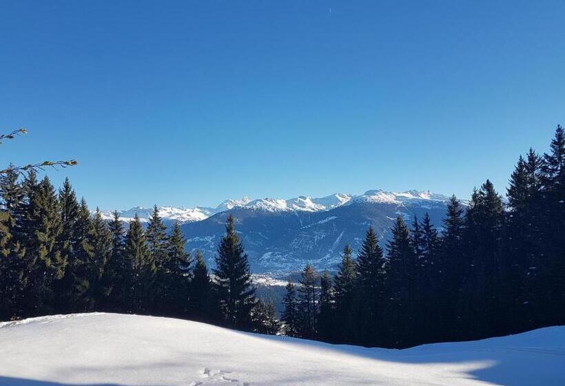 Шале 1 Спальня, Holidays Groupes Anzère