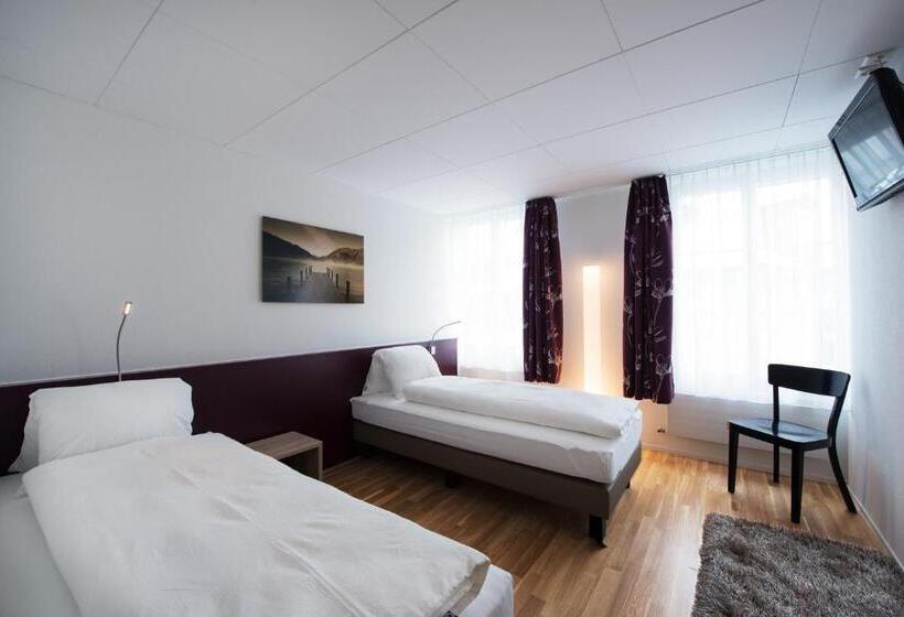 اتاق استاندارد یک نفره, Gasthof Zum Mohren