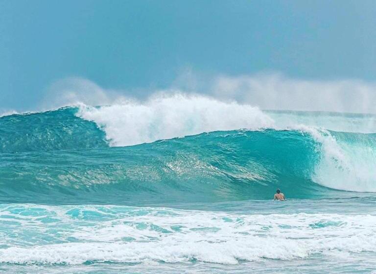 اتاق استاندارد با چشم‌انداز باغ, Siargao Bleu Resort And Spa