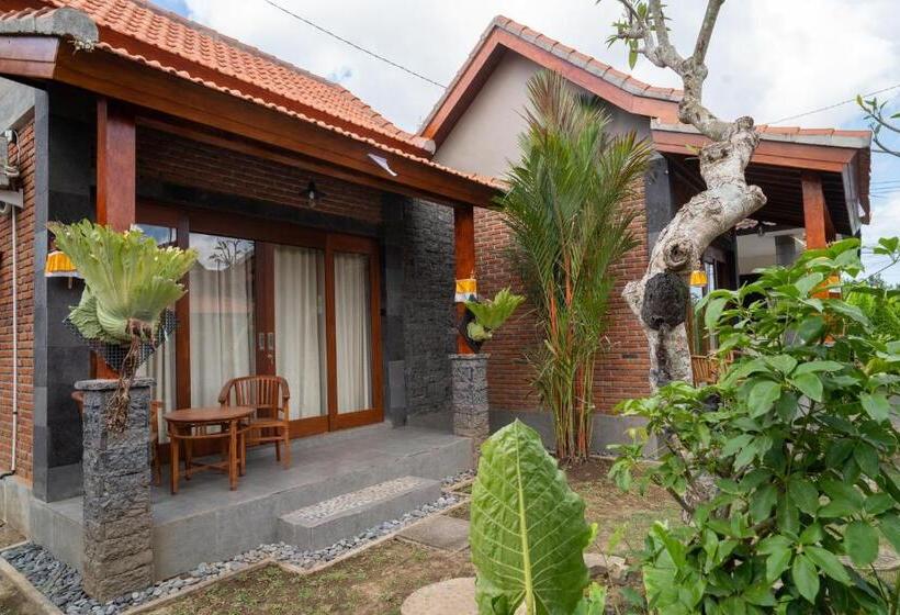 디럭스 룸, Vinaya Homestay