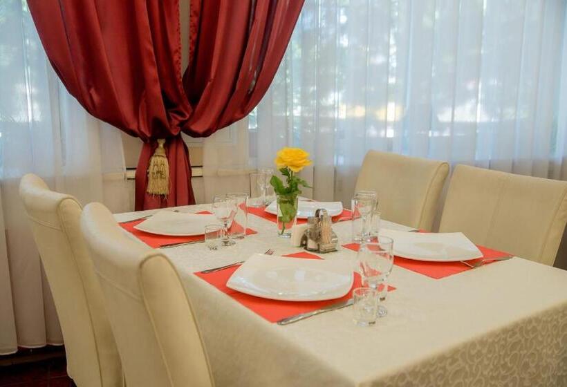 اتاق استاندارد یک نفره, Dniprovski Zori