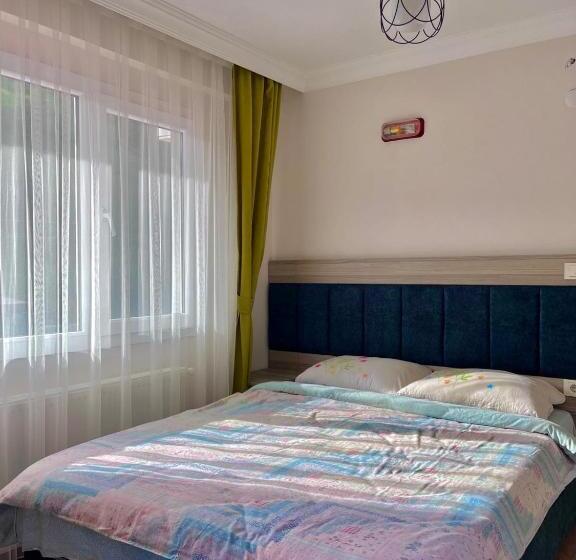 Номер Стандарт Вид на Горы, Fa Ba Apart Otel