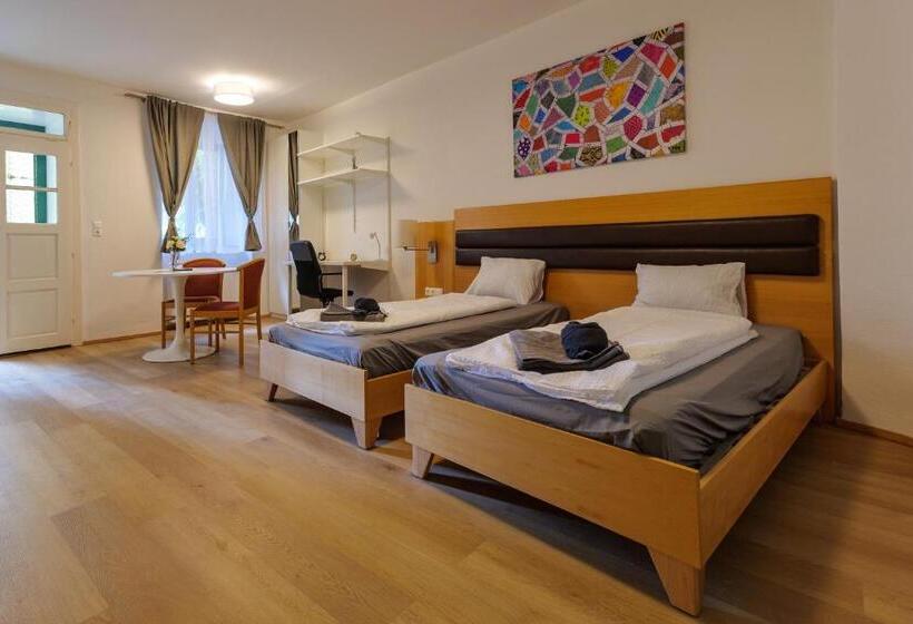 استودیوی سوپریور, Flataid Cityapart Graz Geidorf