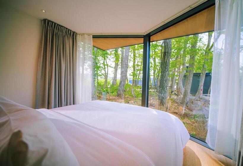 Family Suite, Soneka