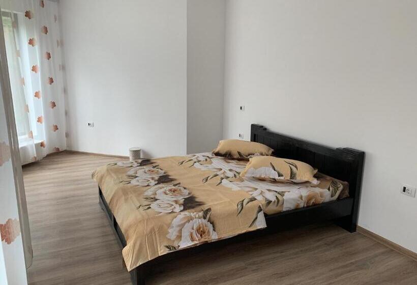 Апартаменты Deluxe 2 Спальни, Pensiunea Valea Pintei