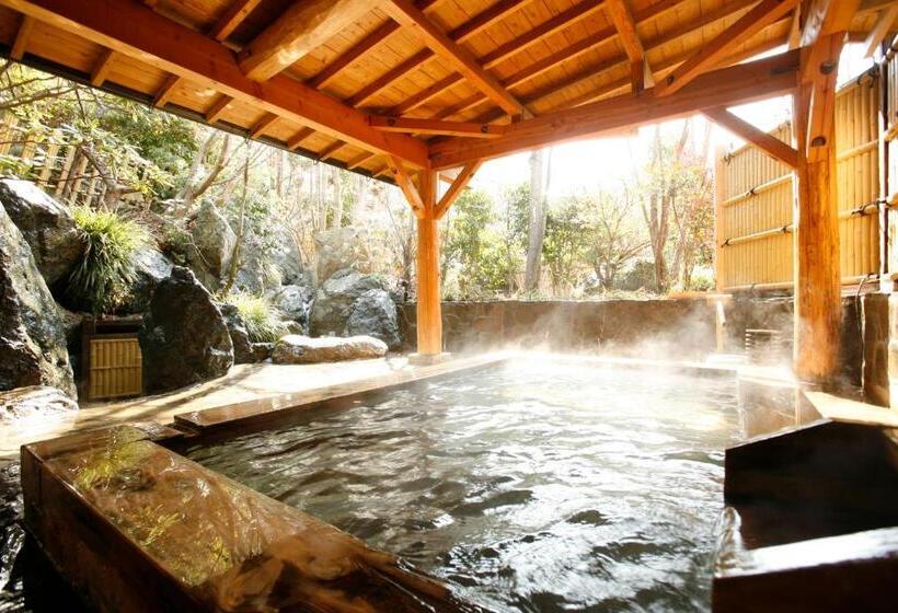 Номер Стандарт, Shimizu Ryokan