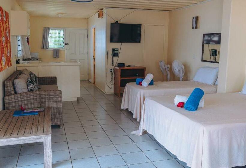 اتاق استاندارد با چشم‌انداز استخر, Kiikii Inn & Suites