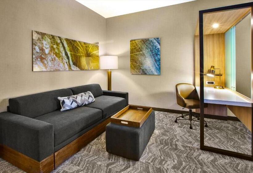 디럭스 스위트, Springhill Suites By Marriott Pittsburgh Butler/centre City