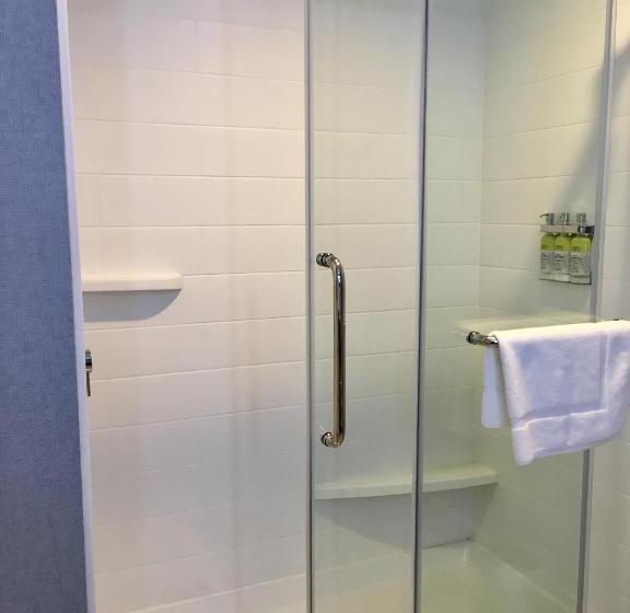 Люкс Адаптированный для Инвалидов, Holiday Inn Express   Grand Island, An Ihg