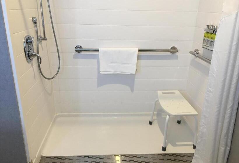 Номер Стандарт Адаптированный для Инвалидов, Holiday Inn Express   Grand Island, An Ihg