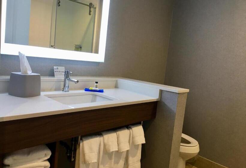 Номер Стандарт, Holiday Inn Express   Grand Island, An Ihg