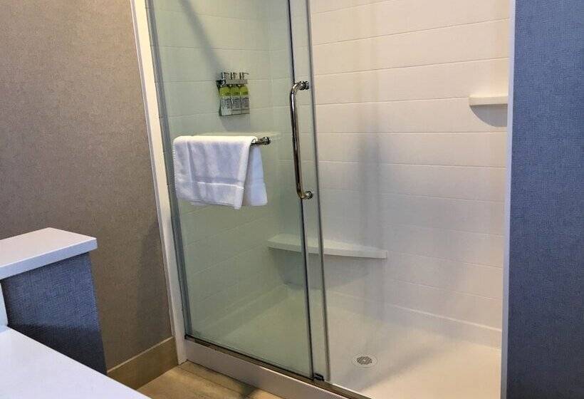 Номер Стандарт Двуспальная Кровать, Holiday Inn Express   Grand Island, An Ihg