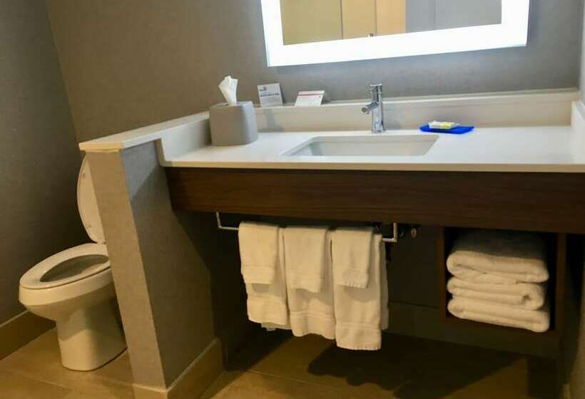 Люкс, Holiday Inn Express   Grand Island, An Ihg