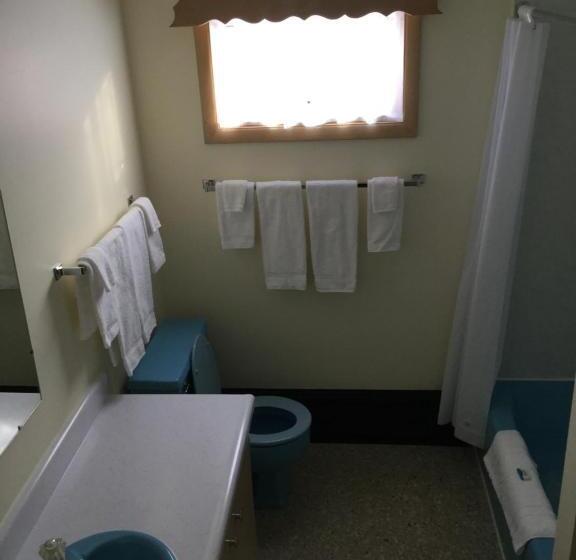 침실 1개 발코니 아파트, Cedars Motel