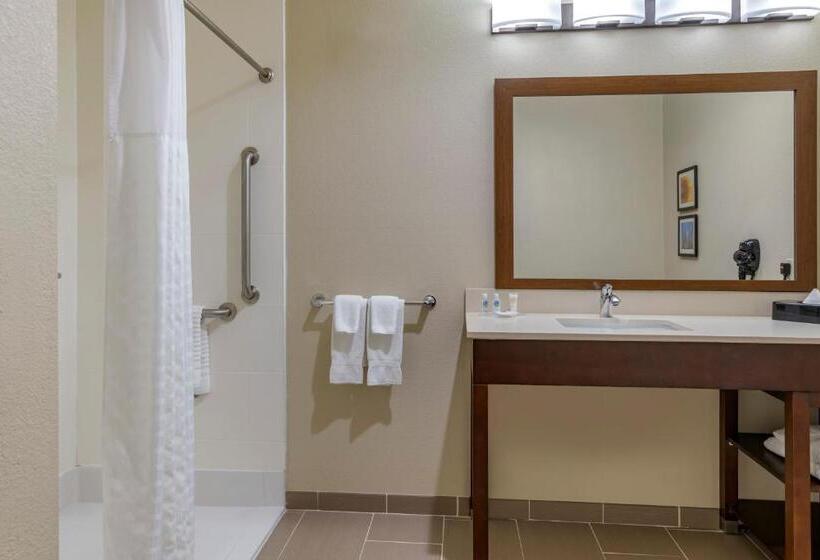 Номер Стандарт Кровать Кинг Адаптированный для Инвалидов, Comfort Inn & Suites Augusta