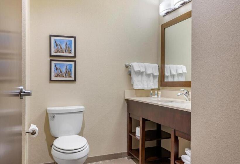 Номер Стандарт Адаптированный для Инвалидов, Comfort Inn & Suites Augusta