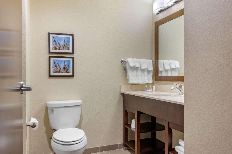 Люкс Кровать Кинг, Comfort Inn & Suites Augusta