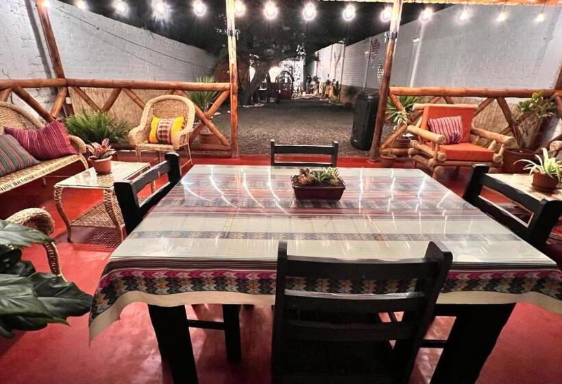 스탠다드 룸, Miranda S House