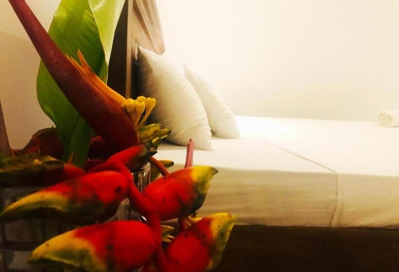 Номер Стандарт Вид на Сад, Chamara Inn