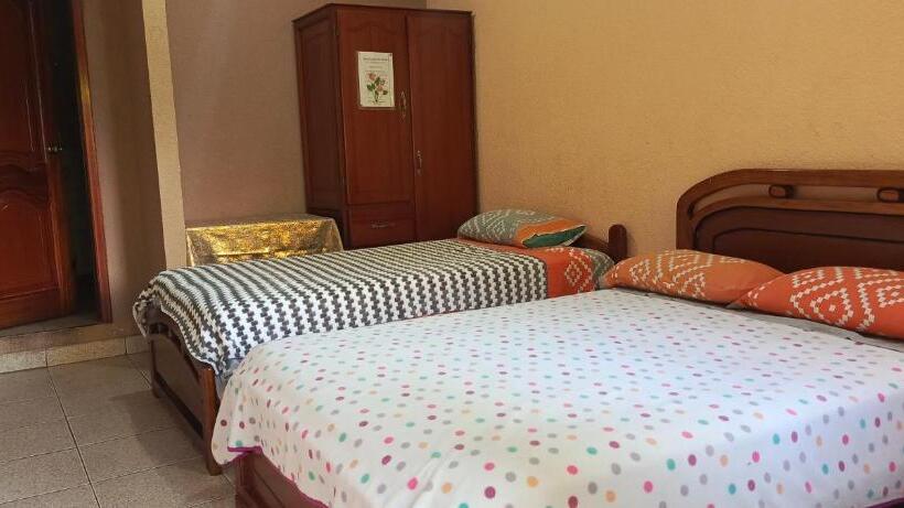 Номер Стандарт, Hostal Los Anturios
