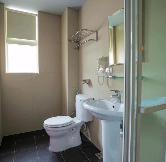 اتاق استاندارد, Aace