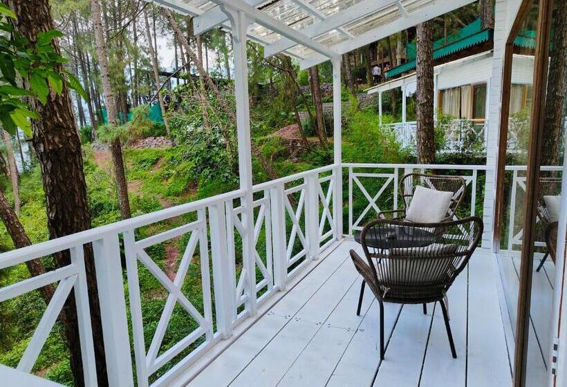 수피리어 룸, Kasauli Hills Resort
