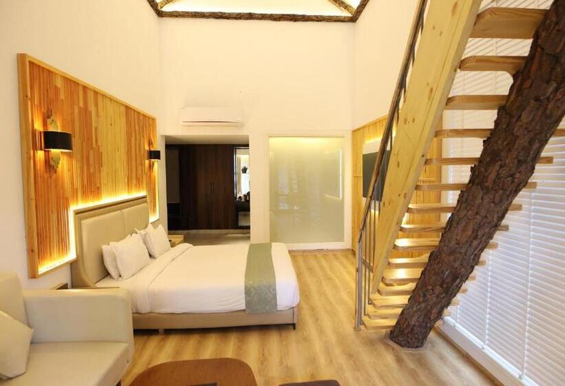 듀플렉스 스위트, Kasauli Hills Resort