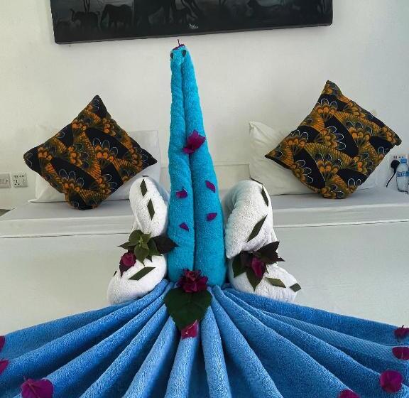 اتاق اکونومی, Avo Boutique