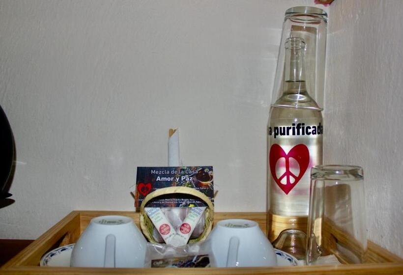 ベーシックルーム, Amor Y Paz