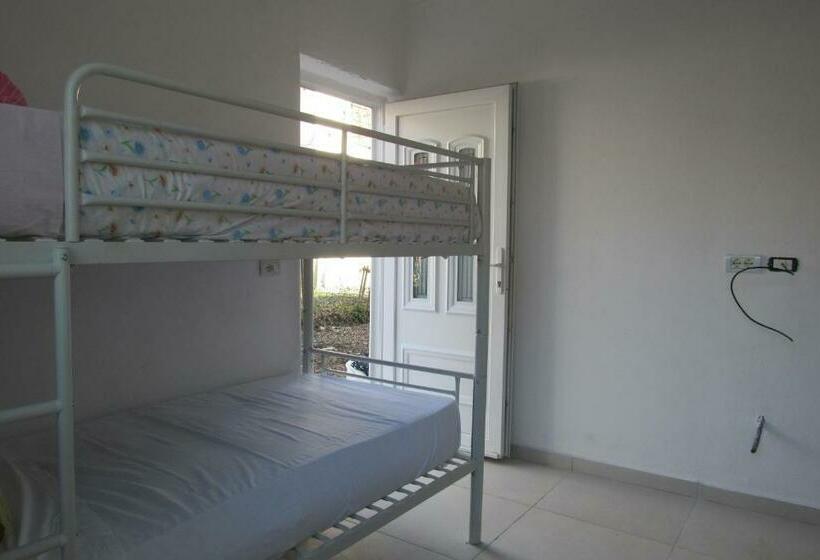 공동 객실, Elbasan Backpacker Hostel