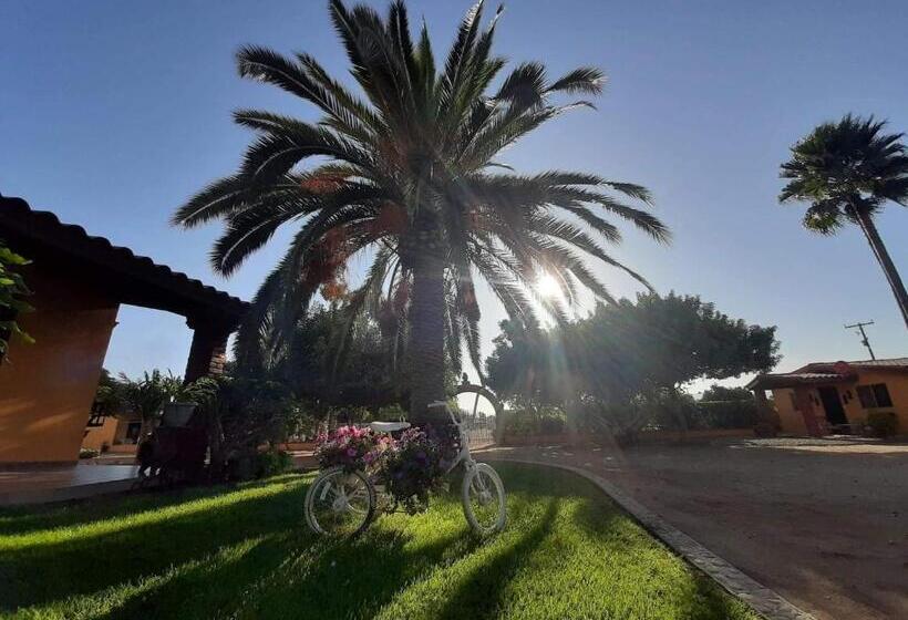 اتاق عادی, Rancho El Campanario En La Ruta Del Vino