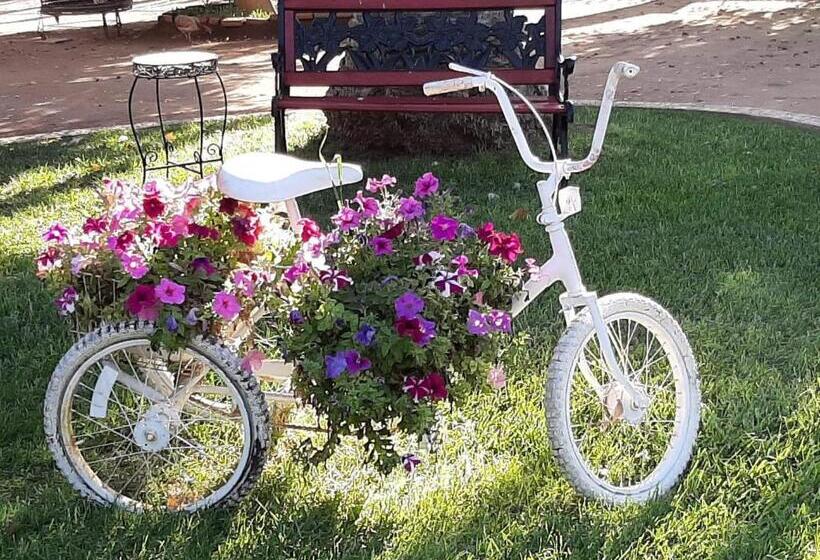 ویلای استاندارد با چشم‌انداز باغ, Rancho El Campanario En La Ruta Del Vino