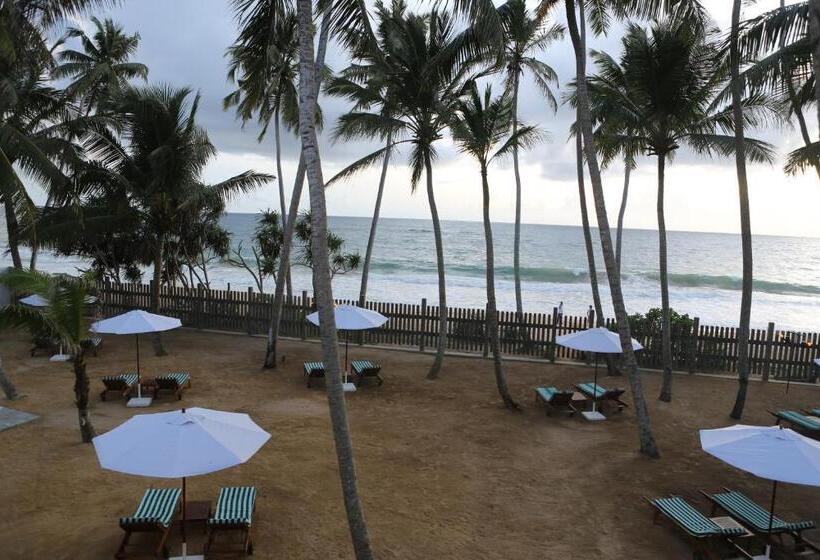 Номер Стандарт, Oasis Ayurveda Beach